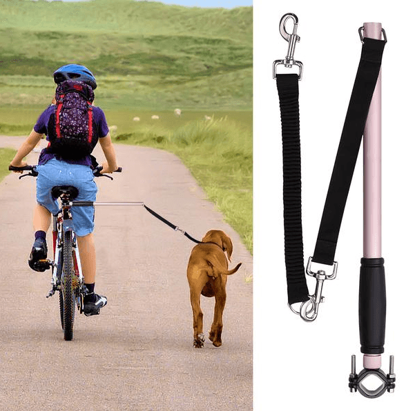 Ultimate Hands-Free Dog Walking Solution